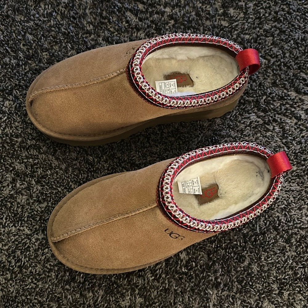 Tazz Ugg clogs-Chestnut